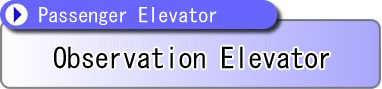 Observation Elevator