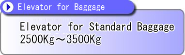 Elevator for Standard Baggage